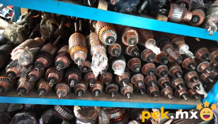 Electrico Zamudio Reparacion De Marchas Y Alternadores Interior - San Francisco Soyaniquilpan