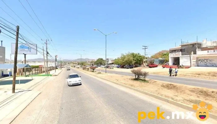 Electrifica - Mazatlán