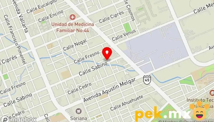 mapa de Electro Técnica Automotriz Servicio de reparación de sistemas eléctricos para automóviles en Chihuahua