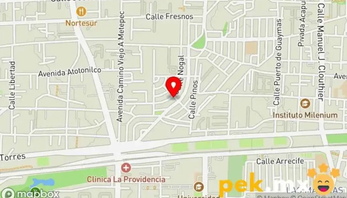 mapa de Electroconstructora Sipp de México, S.A. de C.V. Compañía eléctrica en San Jerónimo Chicahualco