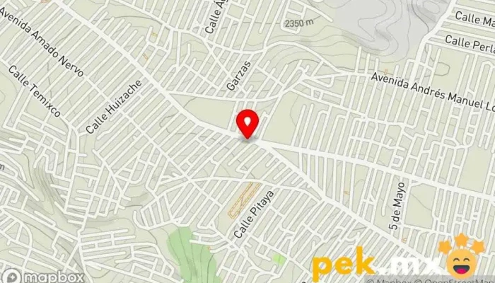 mapa de ELECTRODRIGUEZ Ingeniero eléctrico en Los Reyes Acaquilpan