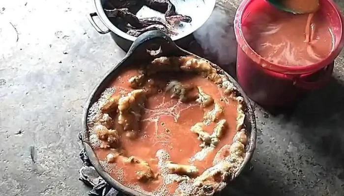 Elfo -   Caso Y Paso Tepuxtepec Videos - Santo Domingo Tepuxtepec