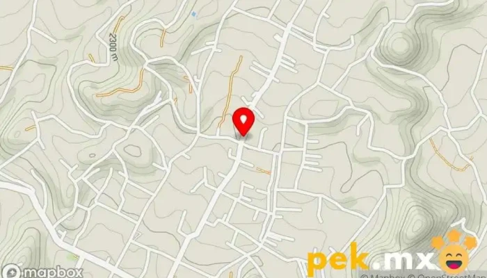 mapa de Ernesto CFE Electricista en Tetela del Volcán