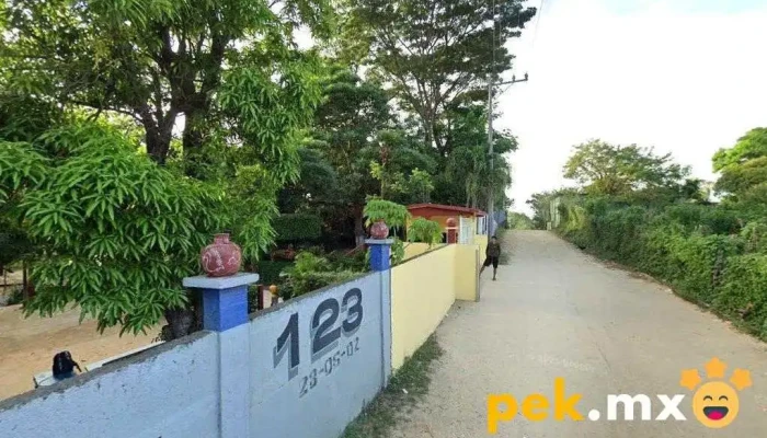 Esc. Sec. Tec. N° 123 - San Pedro Jicayán