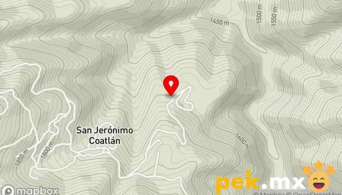 mapa de Escuela Telesecundaria de San Jerónimo Coatlán Centro de educación secundaria en San Jerónimo Coatlán