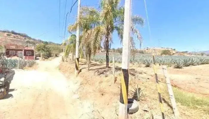 Esteban Carranza Electricista En General -  Telefono - Tequila