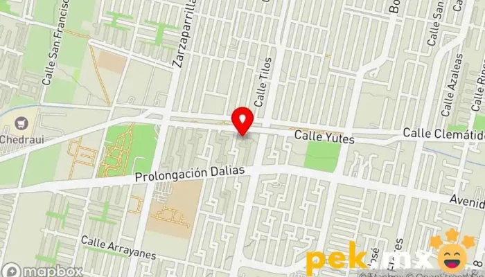 mapa de Excelentics Servicio de instalación eléctrica, Asesor en ingeniería en San Francisco Coacalco
