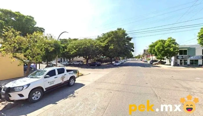 Experto Express - Los Mochis