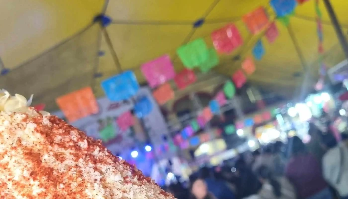 Feria Del Elote -  Opiniones - Cocotitlán