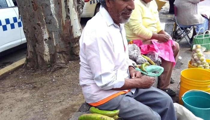 Feria Del Elote -  Sitio Web - Cocotitlán