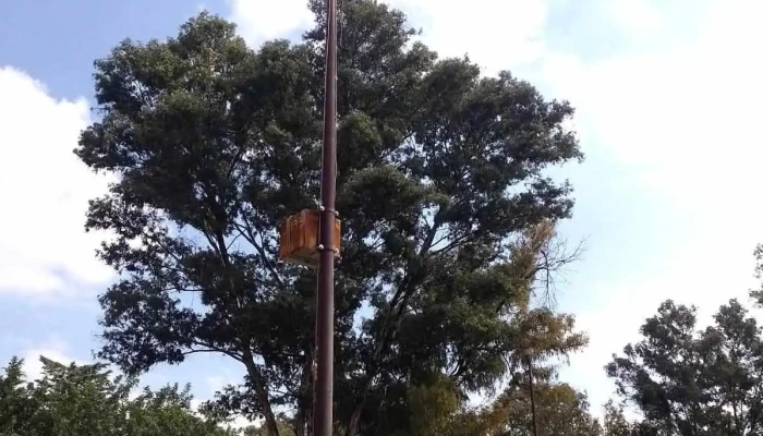 Flash Emergencias -    Servicios De Electricidad Plomeria Y Mantenimiento En General Del Propietario - Cdad. López Mateos