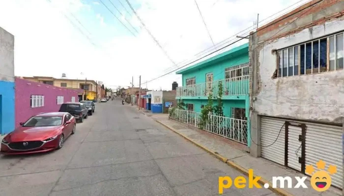 Foto Estudio Margaritas - Centro