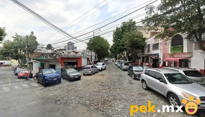 Gihusa Plomeria y Electricidad - Álvaro Obregón, Ciudad De México