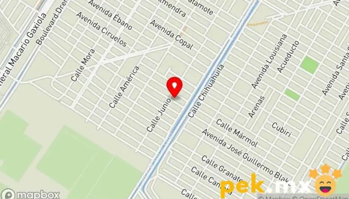 mapa de HASO Camaras de seguridad & soluciones Servicio de guardias de seguridad, Electricista en Los Mochis