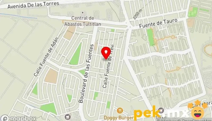 mapa de IEM CRUZA S.A. de C.V. Servicios de empresa a empresa, Arquitecto, Empresa de construcción, Servicio de instalación eléctrica en Fuentes del Valle
