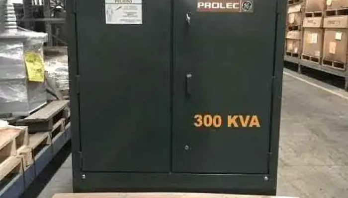 Ingenieria Electrica Ste Del Propietario - San Salvador Tizatlalli