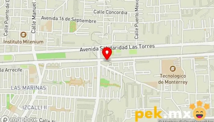 mapa de Ingeniería eléctrica ste Electricista en San Salvador Tizatlalli