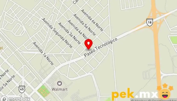 mapa de INGENIERIA EN DESARROLLO TECNOLOGICO Servicio de instalación eléctrica en Delicias