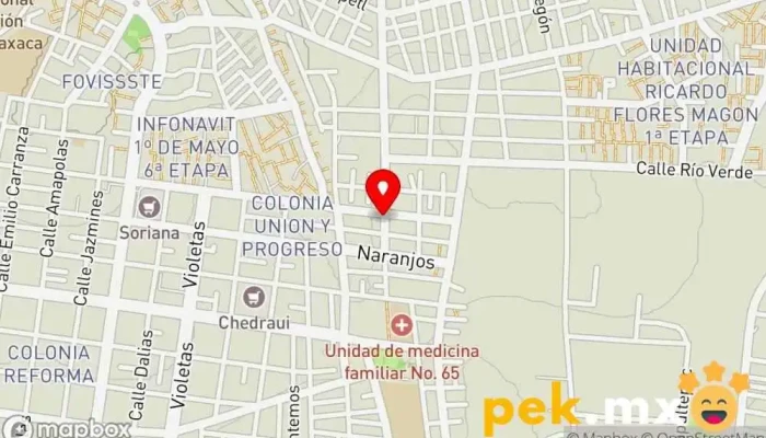 mapa de INGENIERIA EN ELECTRICIDAD Y MANTENIMIENTO INDUSTRIAL LUNA  en Oaxaca de Juárez