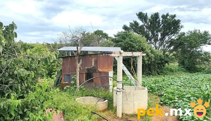 Instalacion Y Venta De Equipos Especializados Solar Del Propietario - Villa de Etla