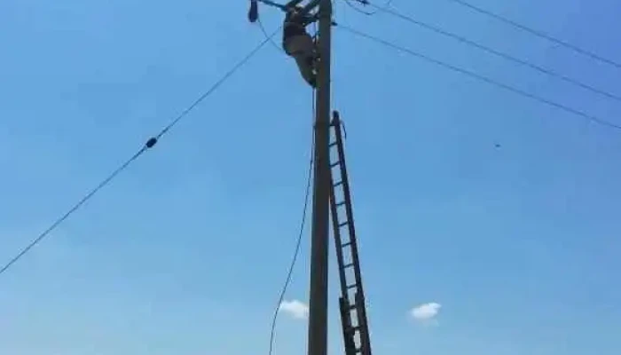 Instalaciones Eléctricas Tolentino en Alta media y baja tensión | Cotiza Ahora - Col 5 De Mayo 67050