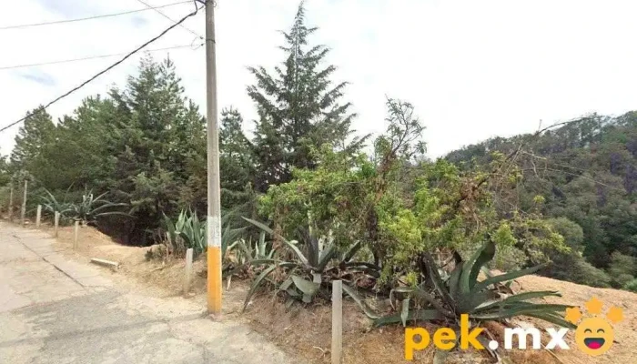 Instalaciones Eléctricas Vega - Naucalpan De Juárez