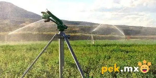 Irrigación y Servicios Especializados Iyse - Lerdo De Tejada