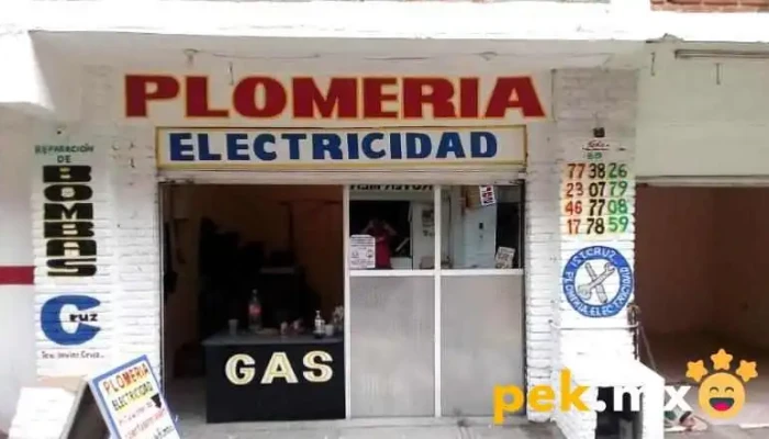 Ist Cruz Plomeria Y Electricidad - Cdad. López Mateos