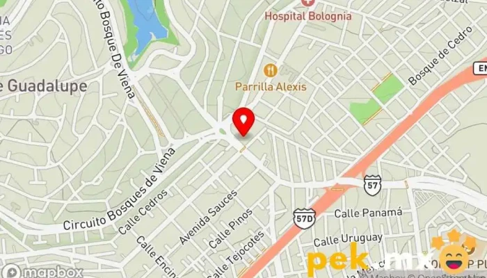 mapa de Ist Cruz Plomeria Y Electricidad Persona de mantenimiento en Cdad. López Mateos