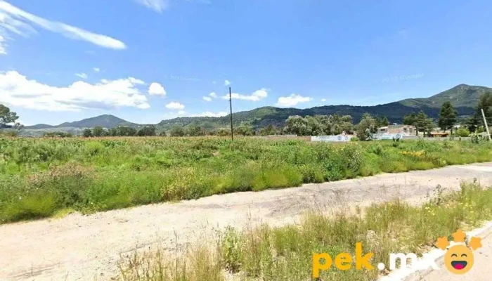 Laguna de Estabilización de Aguas Residuales - Villa De Acambay De Ruíz Castañeda