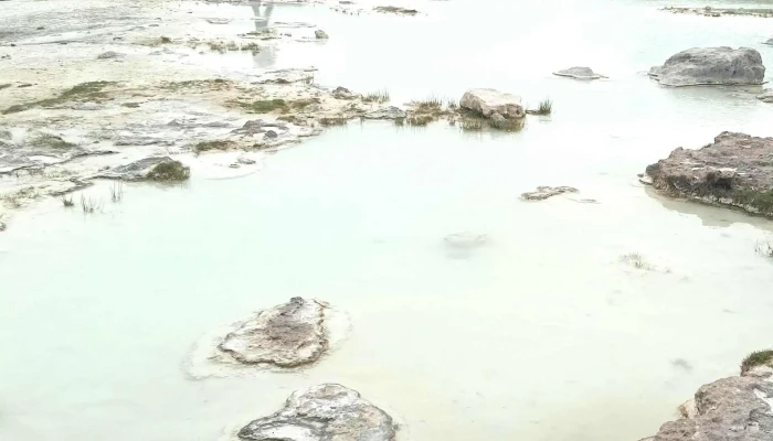 Las Salinas -  Catalogo - Santiago Matatlán