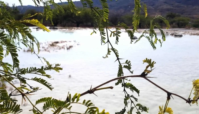Las Salinas -  Descuentos - Santiago Matatlán