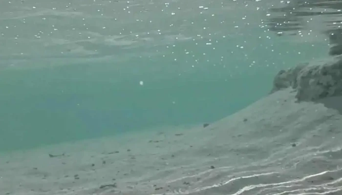 Las Salinas -  Videos - Santiago Matatlán