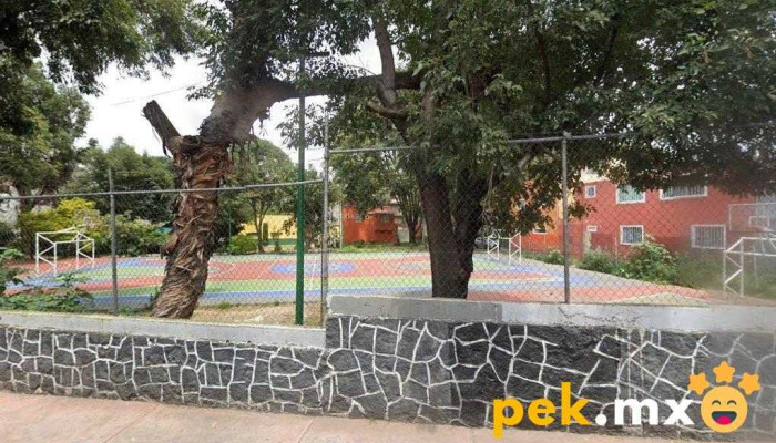 Lixelectrix - Xochimilco, Ciudad De México