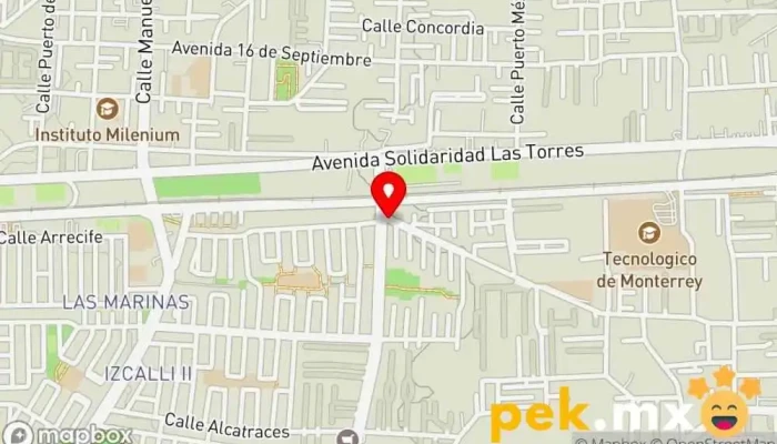 mapa de MainServ Project Electricista en Metepec