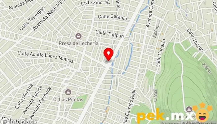 mapa de Material Eléctrico ELECTRICA CENTER Tienda de electricidad en Buenavista