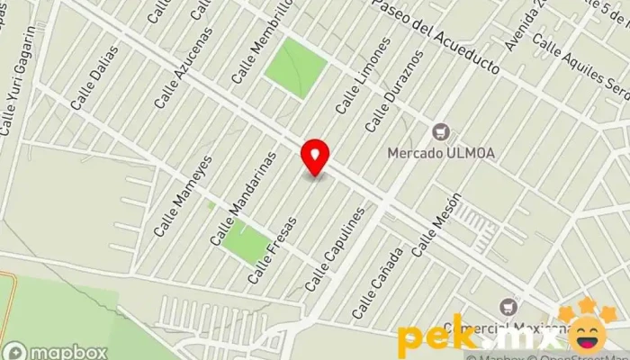 mapa de Maxinselect Técnicos Electricista, Lighting contractor, Property maintenance en Ojo de Agua