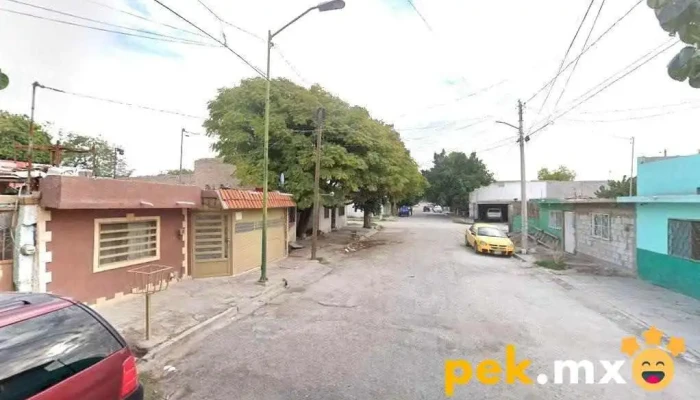 Moldumex Laguna - Armando Del Castillo