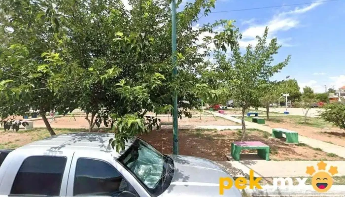 Motores castro - Chihuahua