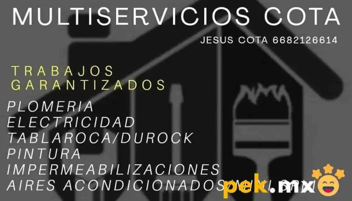 Multiservicios Cota - Los Mochis