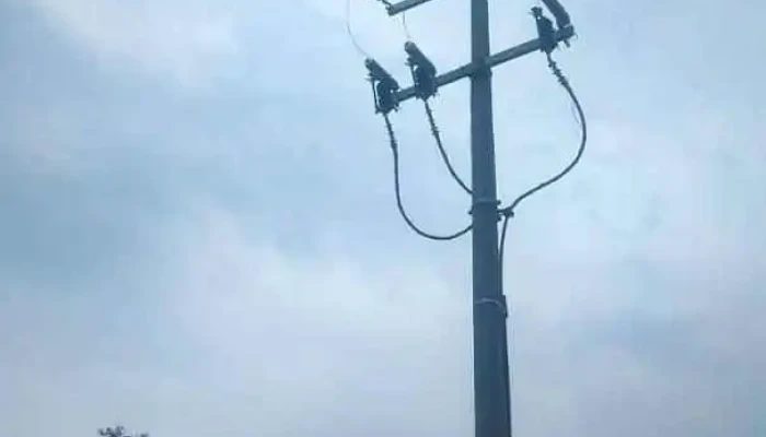 Multiservicios mendoza / electrcista y carpinteria - Mexico