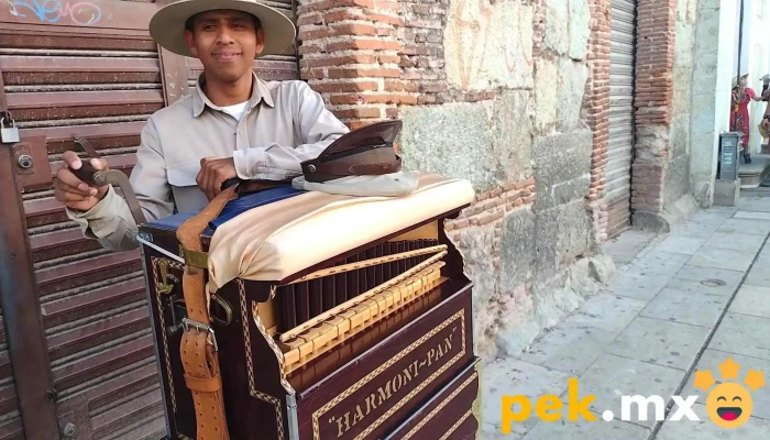 Municipio De San Pedro Jicayan -  Videos - Santiago Jamiltepec