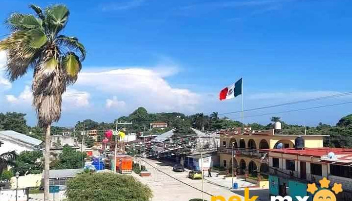 Municipio De Santo Domingo Armenta Oaxaca Puntaje - Santo Domingo Armenta