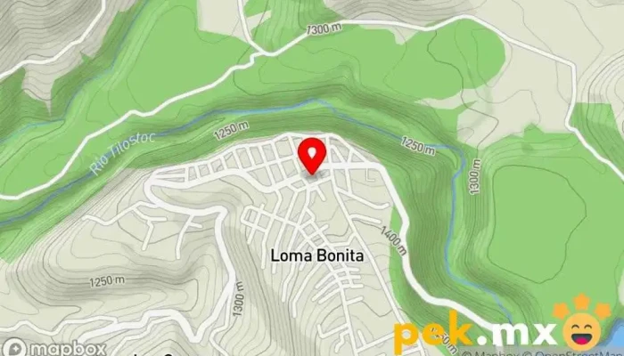 mapa de Palacio Municipal de Santo Tomás de los Plátanos Ayuntamiento en Santo Tomás de los Plátanos