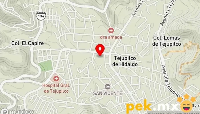 mapa de Palacio Municipal de Tejupilco Ayuntamiento, Oficina de gobierno local en Tejupilco de Hidalgo