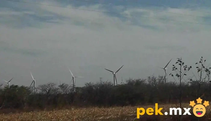 Parque Eolico La Venta Videos - La Ventosa