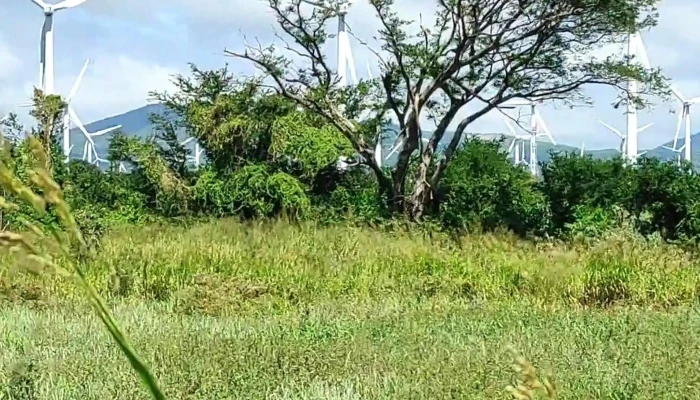 Parque Eolico La Ventosa Fotos - Oaxaca