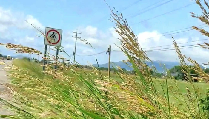 Parque Eólico La Ventosa - Oaxaca