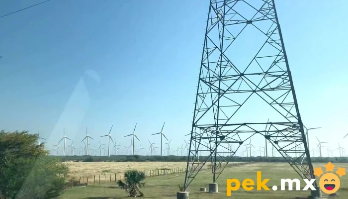 Parque Eolico La Ventosa Videos - Oaxaca