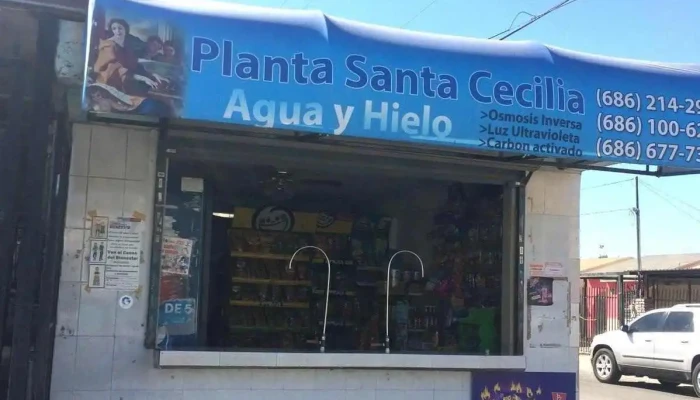 Planta santa cecilia - Valle De Puebla